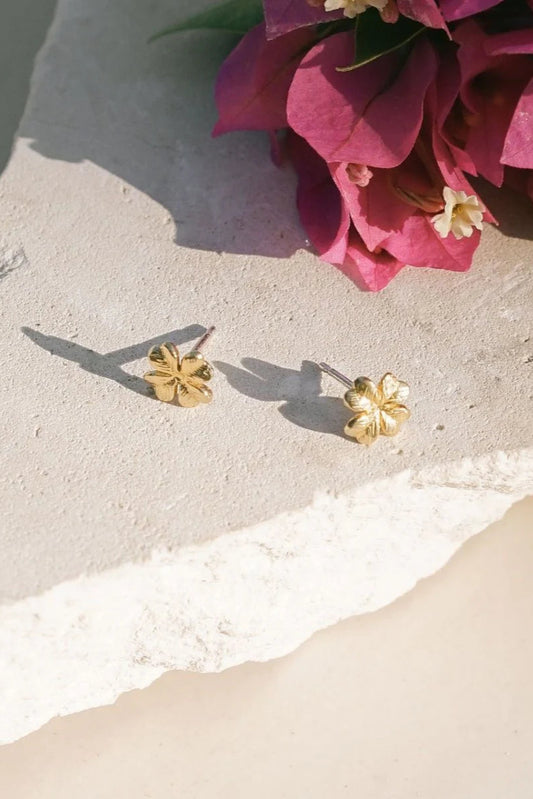 Lucky Clover Studs | Brass