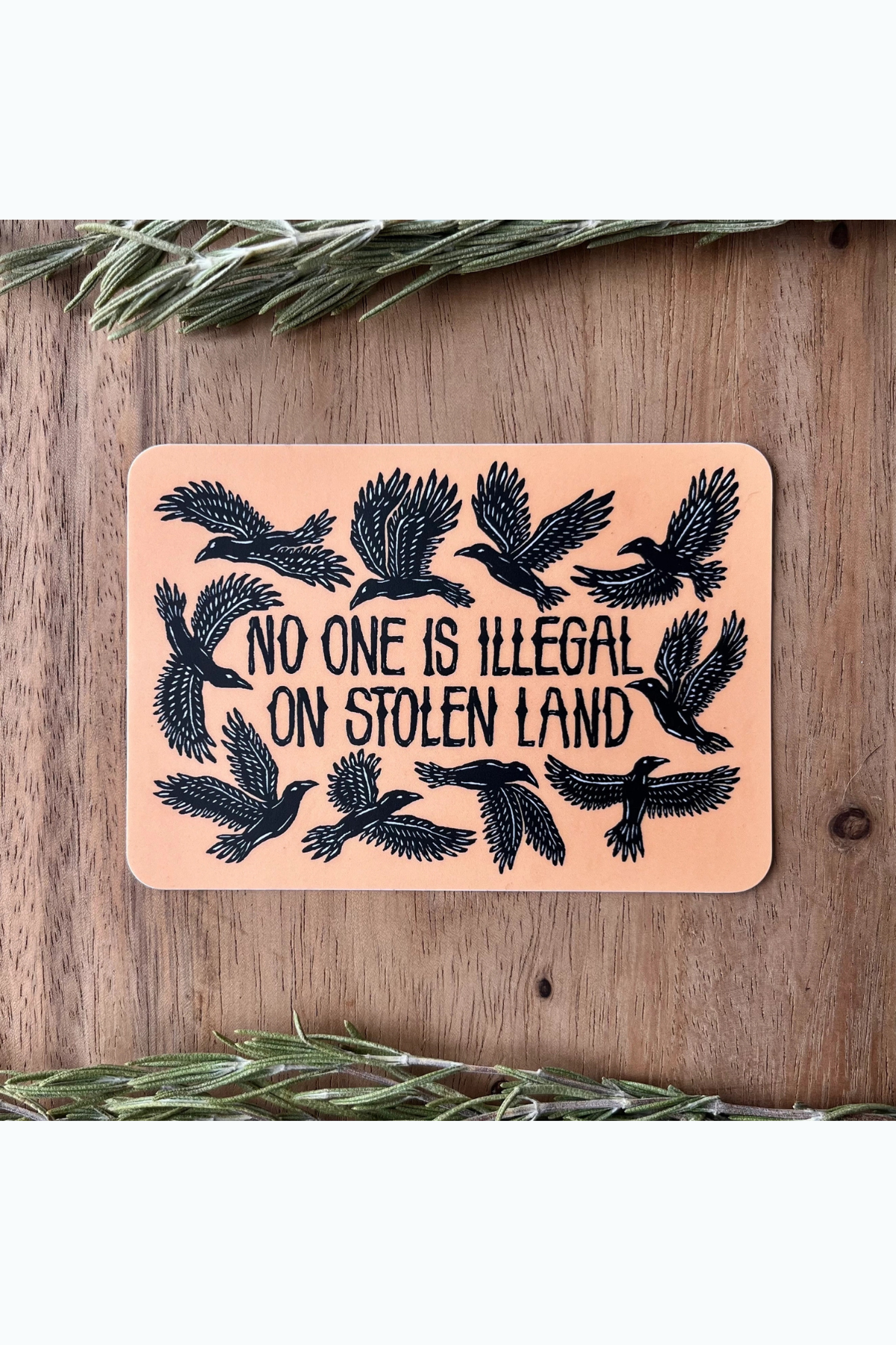 No One Is Illegal Sticker
