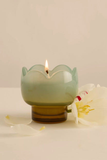 Tulip Glass Candle | Wisteria & Willow