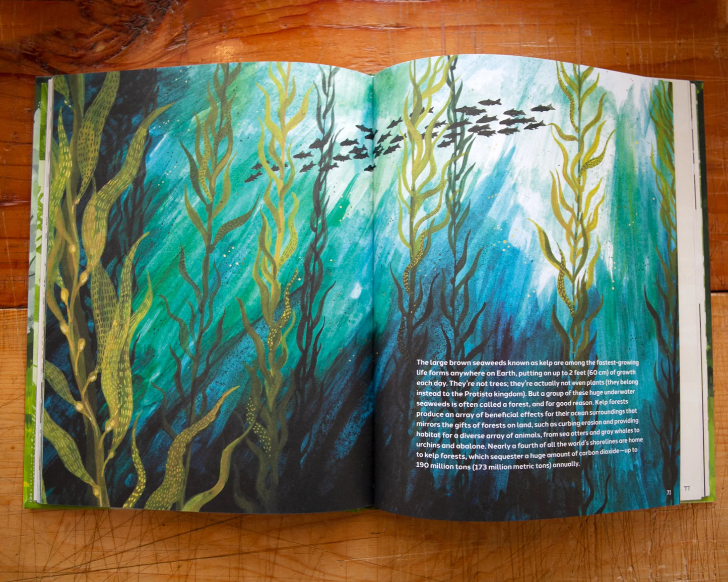 Trees: An Illustrated Celebration