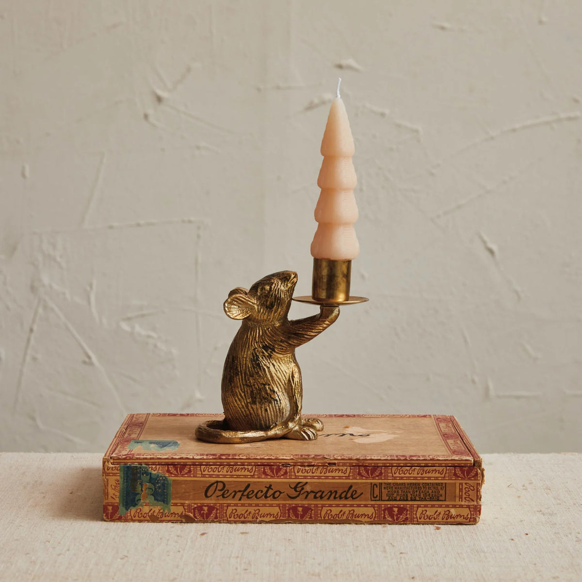 Mouse with Tray Taper Holder