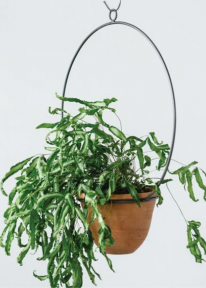 Terracotta Planter with Metal Hanger