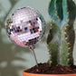 Disco Queen Plant Stake