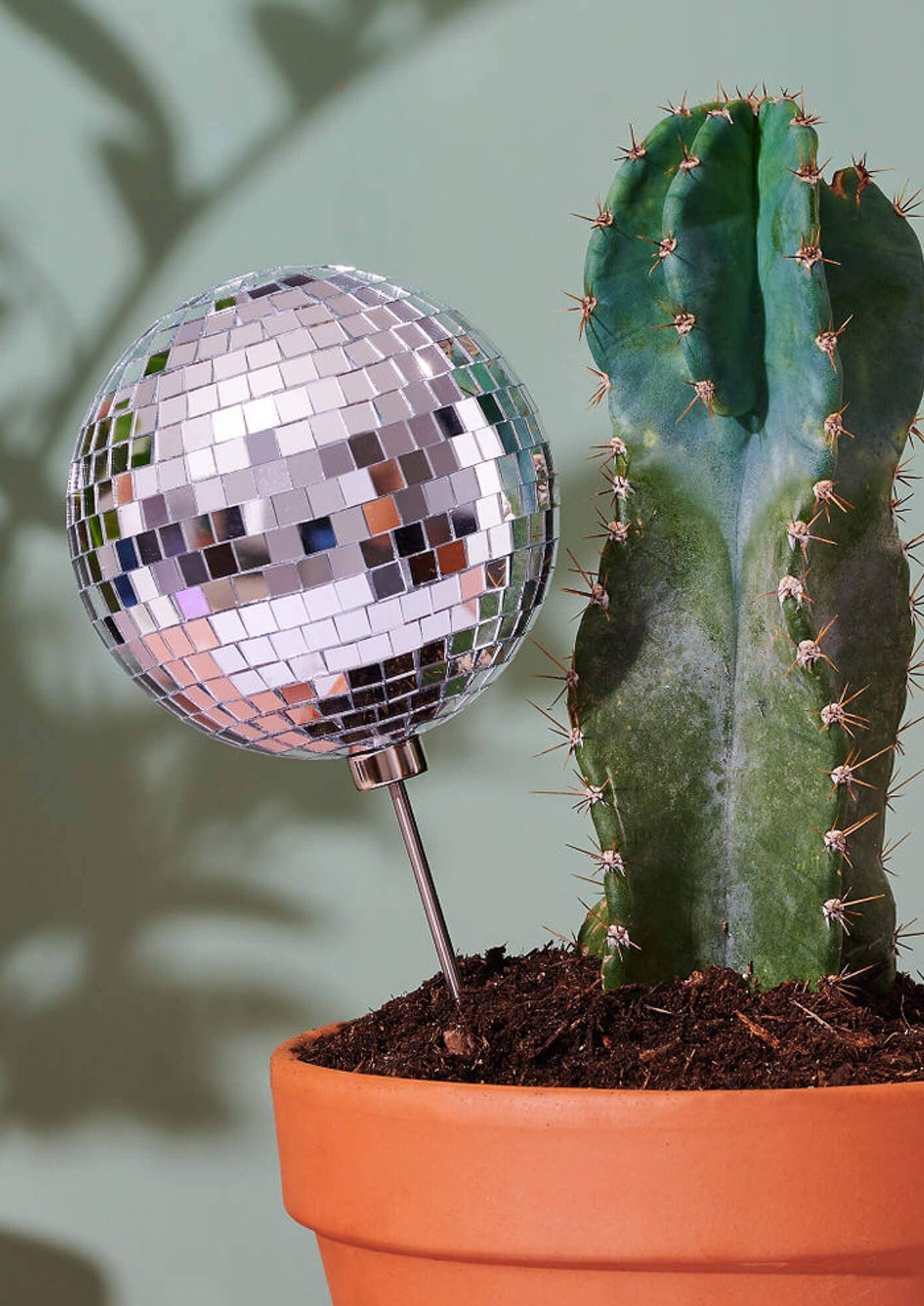 Disco Queen Plant Stake