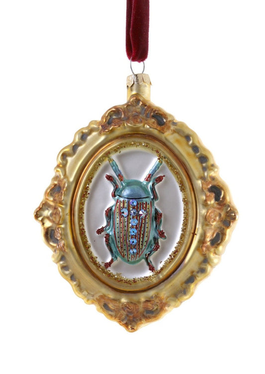 Framed Beetle Curiosity Ornament