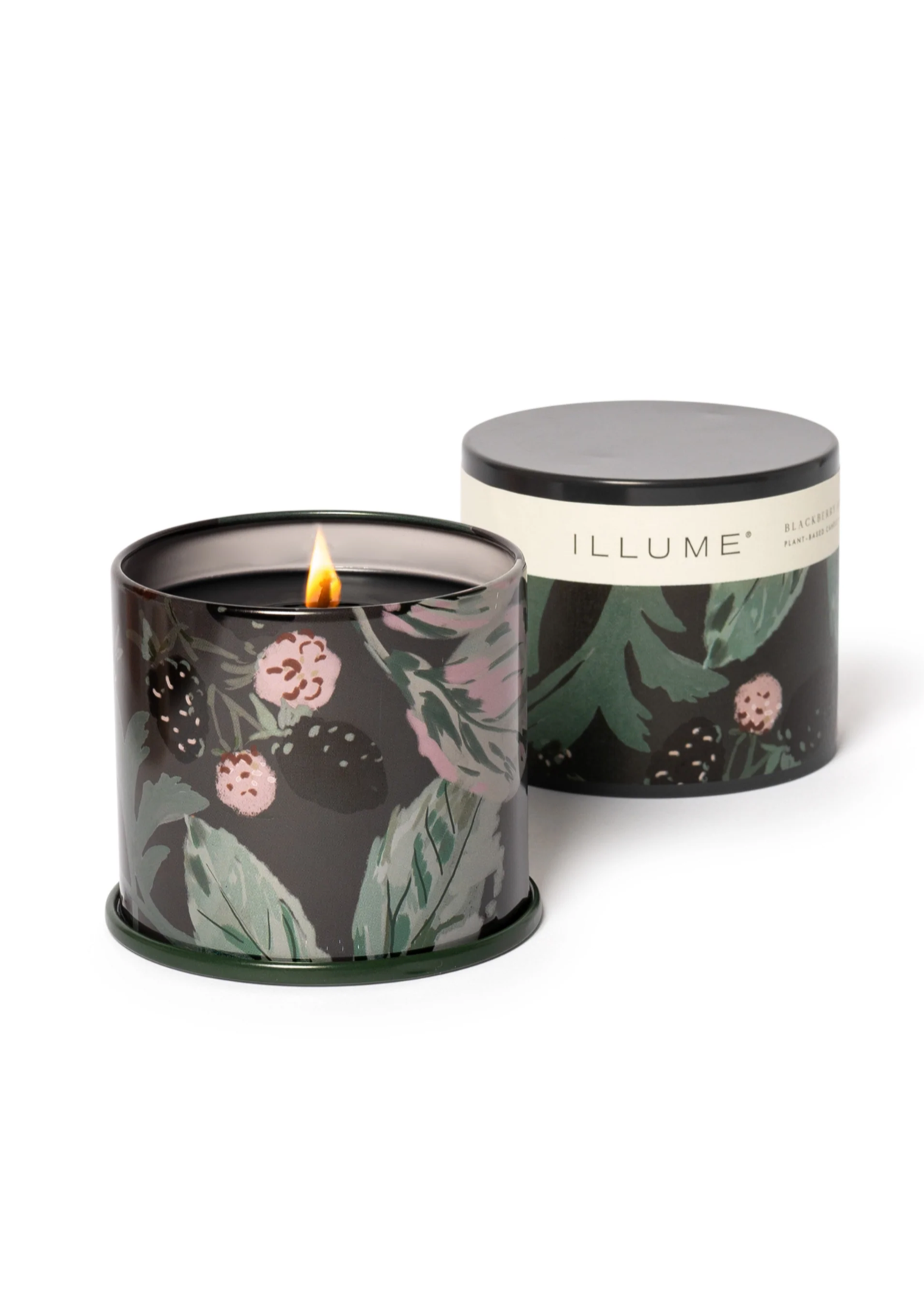 Blackberry Absinthe Tin Candle | Vanity 11.8oz