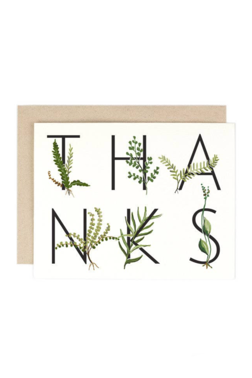 Fern Thanks Card