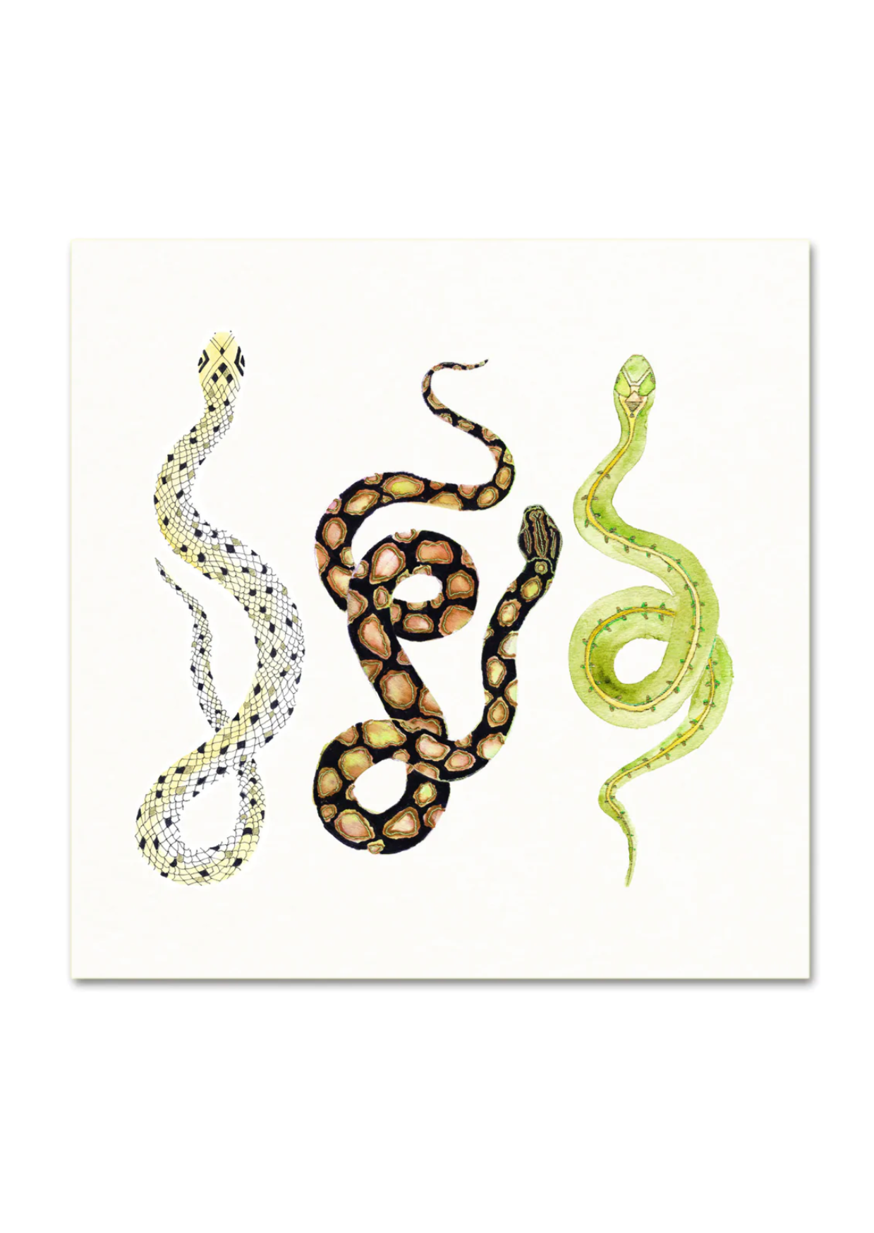 Snakes No. 3 Art Print