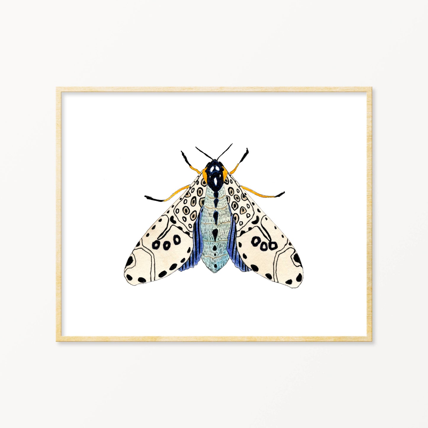 Moth No. 6 Art Print