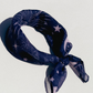 Astronomer Bandana